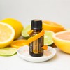 doTERRA Citrus Bliss Essential Oil Invigorating Blend - 15 ml