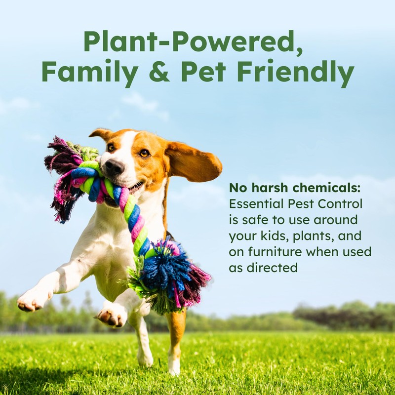 BugMD Ant Killer & Bug Spray Concentrate - Indoor Cockroach