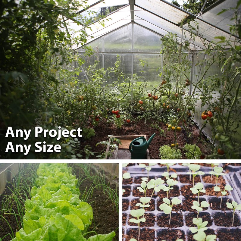 Mammoth Melting Sugar Pod Snow Pea Garden Seed - 5