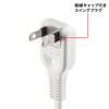 Sanwa Supply TAP-EX2110 Power Extension Cord 32.8 ft (10 m),