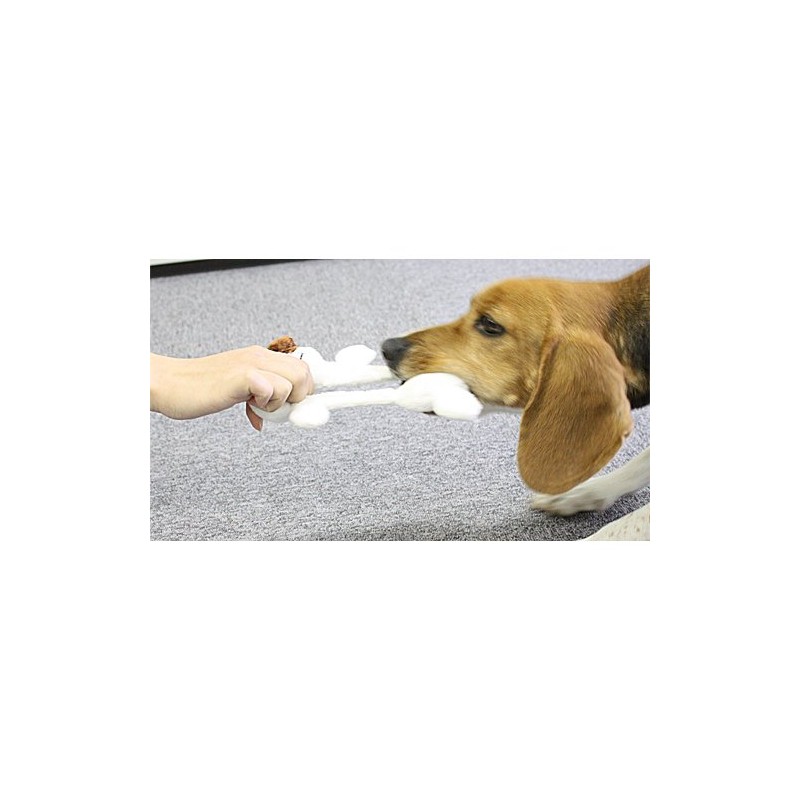 Animal Doggy man pulled one Corps captain