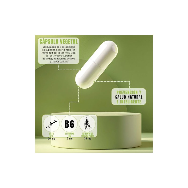 NSN Brilliant Nootrópico con Ginseng Panax, Alpha GPC Enfoque y