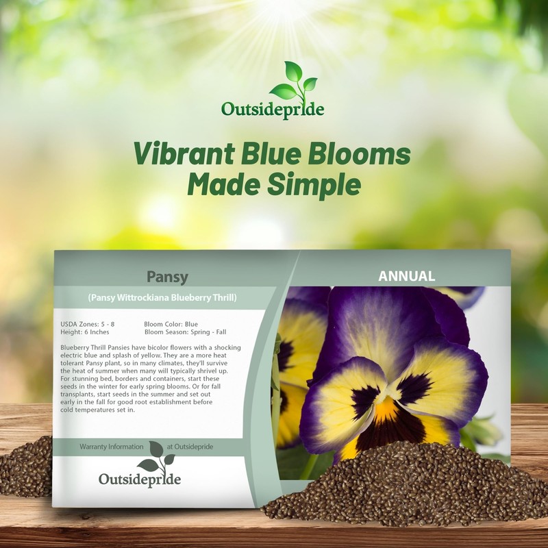 Outsidepride Blue & Yellow Bicolor Blueberry Thrill Viola Pansy Seeds
