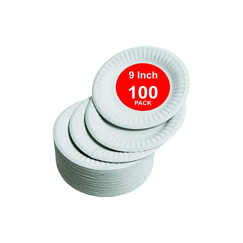 HOT BARGAINS 100 X 9 Inch Disposable Paper Plates for