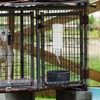 Dog Water Bottle for Crate - No Drip Dog Water