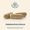 Rhodiola Maca Life360+ Fuel Up Blend 180 Cápsulas Cordyceps