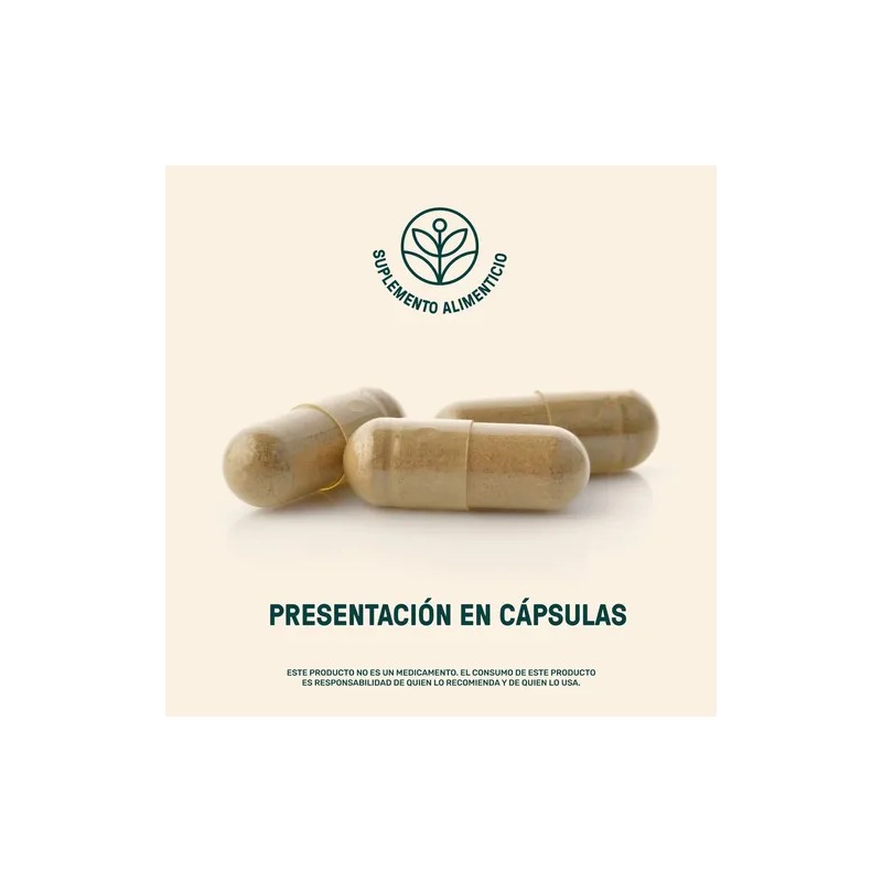 Rhodiola Maca Life360+ Fuel Up Blend 180 Cápsulas Cordyceps