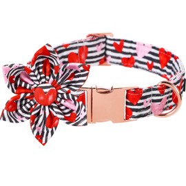 Lionet Paws Valentines Dog Collar with Flower, Dog Flower Collar with Metal Buckle for Dogs, Adjustable Comfortable Dogs Collars Girl, XL, Neck 16-26 in