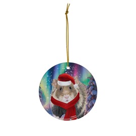 Funny European Hamster Christmas Ornament 2025 Ceramic Circle White - Festive Winter Northern Lights Holiday Xmas Tree Hanging Decoration Gifts for Hamster Lovers