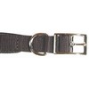 S/PROT DOG COLLAR 1 X 26 In BL