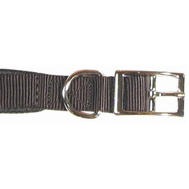 S/PROT DOG COLLAR 1 X 26 In BL