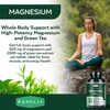 Magnesium with Green Tea Extract & L-Theanine