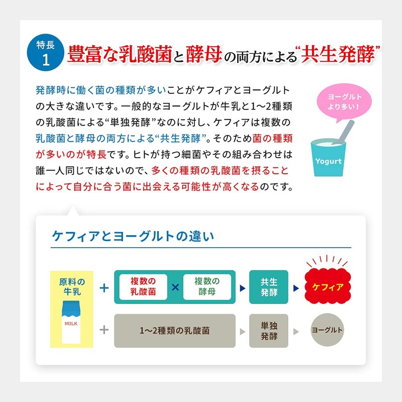 Yamada Beekeeping Farm Lactic Acid Bacteria and Yeast Chikara Kefir