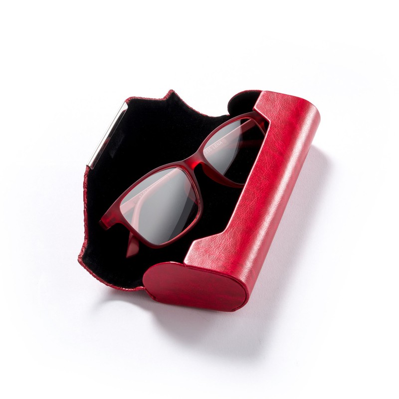FEFI Glasses Case Hard Case – Elegant Design in Relief