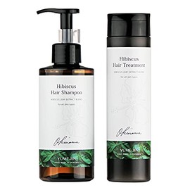 Hibiscus Hair Shampoo & Treatment Set [Amino Acid Shampoo & Damage Care Treatment]