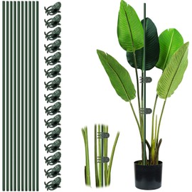 Orchid Stakes and Clips Set – 10 PCS Green Plant Support Stakes with 15PCS Plant Clips, Bendable Plant Sticks Support for Indoor/Outdoor Plants, Orchid, Rose, Peony, Single Stem Vines Flower