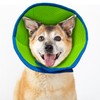 Soft Recovery Collar for Dogs and Cats Post-Surgery - Adjustable