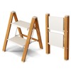 Taranta 2 Step Ladder,Aluminum Lightweight Folding 2 Step Stool with