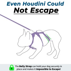 Wuffley Escape Proof Dog Harness and Leash Set, Lightweight Dog Harness with Lift and Assist Handle, No Pull Reflective Pet Vest for Small Medium Dogs, Ideal for Puppy Walking and Training (Purple, S)