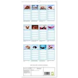 Familienplaner 2026 - Süße Träume 2026 - schlafende Hundewelpen mit 5 Spalten (Wandkalender, 21 cm x 45 cm), CALVENDO: träumen Sie mit... (CALVENDO Tiere)