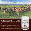 Hi Well Premium Grass-Fed Colostrum Choco Milk 150Tablets