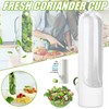 Herb Keeper Preserver,Refrigerator Herb Storage Container Herb Savor Preserver Cilantro