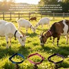 CJFNDFA 5 Pack Nylon Goat Collar with Bell, Adjustable for