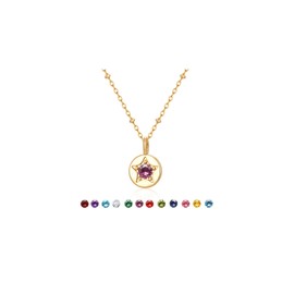 KSF Dainty 14K Gold Plated Necklace for Women Non Tarnis Birthstone Cubic Zirconia Star Necklace Birthday Pendant Jewelry Gifts for Women Mom Wife Her