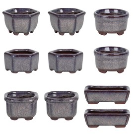 Bonsai Planter Succulent 1.8"(4.5cm) 10 Mini Glazed Pots