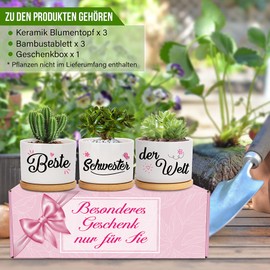 Gifts for Sister, Best Sister in the World Flower Pots, Birthday, Graduation, Gift for Adults, Sister, Flower Pots for Planting