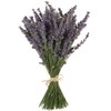 TooGet Natural Lavender Bundles, 200 Freshly Harvested Dried Stems Lavender