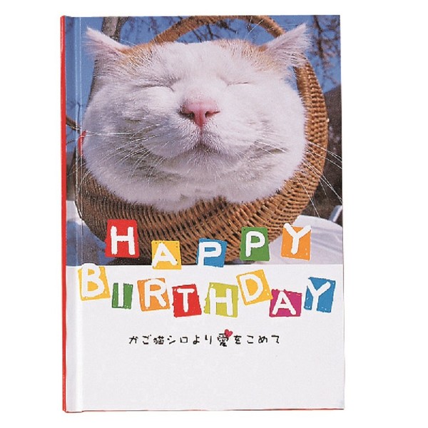 Gakken Staefl Birthday Card, Message Book, Basket Cat B10018