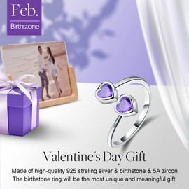 Esberry ✦Gifts for Christmas✦ 18K Gold Plating 925 Sterling Silver Birthstone Rings Heart Shape Cubic Zirconia Rings Double Gemstone Adjustable Rings for Women (February-Amethyst)