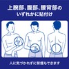 【第1類医薬品】ニコチネルパッチ20 14枚