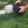 Tapix Cat Scat Mat with Spikes Digging Stopper (14 ft.)