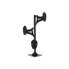Skull Hooker Trophy Tree Pedestal Powder-Coated Steel Shoulder Mount -