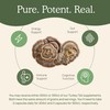 Real Mushrooms Turkey Tail Capsules – Organic Mushroom Extract for