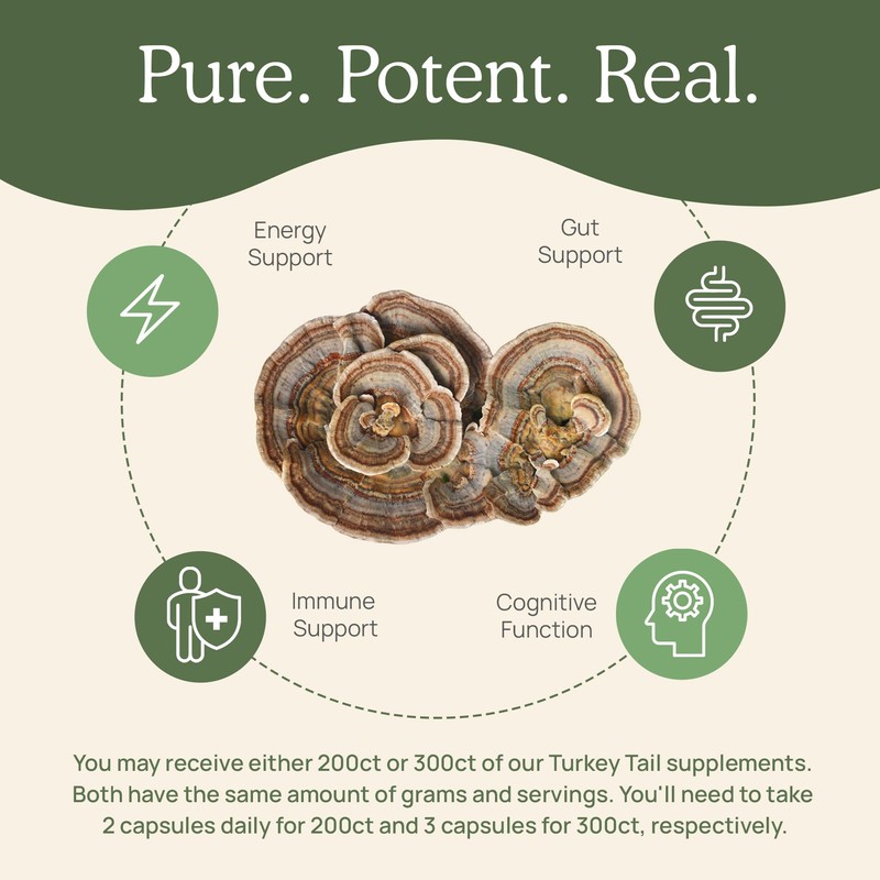 Real Mushrooms Turkey Tail Capsules – Organic Mushroom Extract for