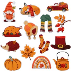 Thanksgiving Day Iron on Patches - 14 Packs Fall Thanksgiving Sew on Embroidered Patches Autumn Maple Leaf Dwarf Pumpkin Car Hat Cute Design Iron on Appliques for Clothes Jacket Jeans DIY Decoration
