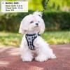 BEAUTYZOO Small Dog Harness and Leash Set,Step in No Choke