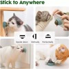 Catnip Pelota Giratoria Gatos 1 Bola Hierba Gatera Juguete