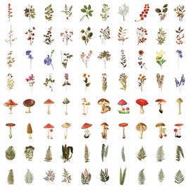 VSCO Pack of 160 Transparent Decorative Stickers, Scrapbooking Stickers, Flowers, Plant, Mushroom, Fern Theme, PET Stickers for Laptop Cups Luggage Photo Album Notebook Diary Greeting Card Envelope