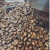 West End Coffee Roasters, Glory, Dark Roast, Whole Bean, Ethiocally