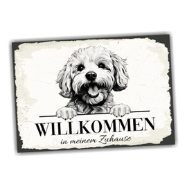 siviwonder Dog Sign Welcome Home Bichon Frise No. 1 Dog Sign Saying Door Sign Warning Sign Gift Idea Beautiful Saying Dog Motif Aluminium Weatherproof Dog Sign