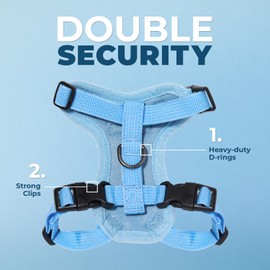Voyager Step-in Lock Adjustable Cat Harness w. Cat Leash Combo Set with Neoprene Handle 5ft - Supports Small, Medium and Large Breed Cats by Best Pet Supplies - Baby Blue, S