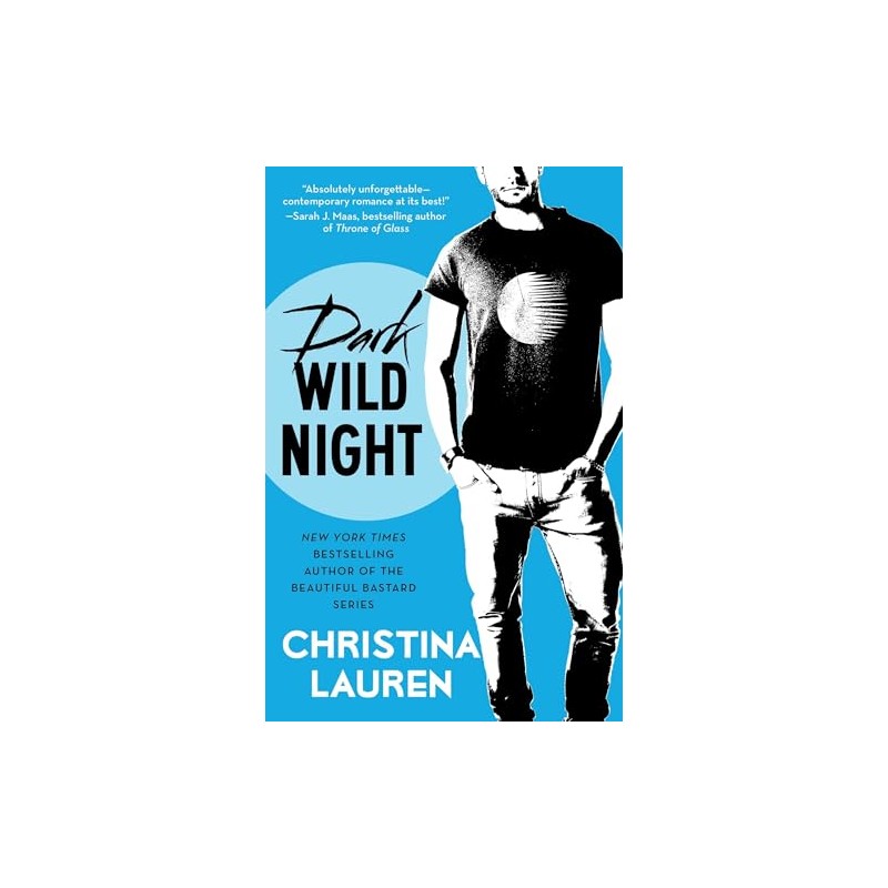 Dark Wild Night (Volume 3)