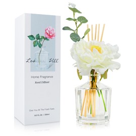 L'odeur Vill Reed Diffuser, 8.5 Oz(250ml) Moroccan Amber Bathroom Diffuser with 10 Sticks, Scented Diffuser Home Fragrance Essential Oil Reed Diffuser Set for Home Large Rooms Bathroom Shelf Decor