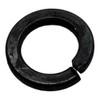 PHUOC LOC THO for Red Max 1100-81250 Washer 110081250 Replacement