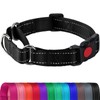 Joytale Martingale Collar for Dogs, Reflective Heavy Duty for Safety,