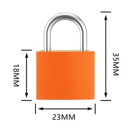 Taiyeestar Pack of 10 Suitcase Locks, Suitcase Lock with Keys, Luggage Lock with Key Padlock Small for Suitcase, Backpack, Bag, Locker, Diary (Colourful)